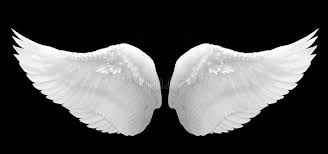 Black And White Angel Wings Wallpaper White Angel Wing Isolated On White Ad Angel White Wing White Isolated Ad White Angel Wings Wings Wallpaper Angel Wings Background
