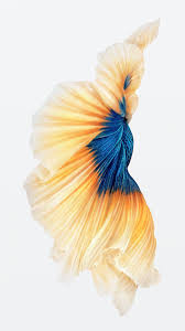 Ios 10 Iphone 7 And Iphone 7 Plus Hd Wallpaper Iphone 6s Wallpaper Live Wallpaper Iphone 7 Best Iphone Wallpapers
