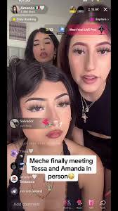 Amanda Meche's Instagram, Twitter & Facebook