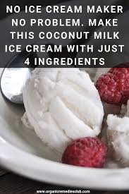 No Ice Cream Maker No Problem Make This Coconut Milk Ice Cream With Just 4 Ingredients Eating Organic Food Natural Cough Remedies