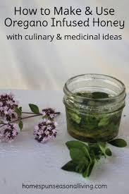 Learn How To Make Oregano Infused Honey As A Way To Save The Herb For Culinary Uses Like Bread And Sauces And For Medic Herbalism Healing Herbs Herbal Medicine