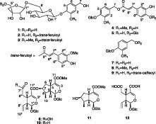 Image result for Strychnos mellodora