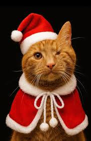 Thank you Janet Cooper for helping out today at Middfest. We made £259.90.  Thank you everyone who attended and supported us.