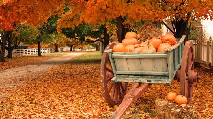 When does fall start in Denver, Colorado? | FOX31 News