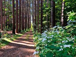 Trek, ski, or snowshoe six miles of trails. Cumming Nature Center Naples 2021 All You Need To Know Before You Go Tours Tickets With Photos Tripadvisor