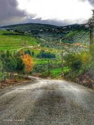 من حلتا الجنوب اللبناني Country Roads Road Country