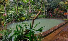Objek wisata natural hot spring ini berlokasi di desa penatahan, kecamatan penebel. Pemandian Air Panas Angseri Tabanan Kolam Alami Memukau Sensasi Terapi Ayobali Net