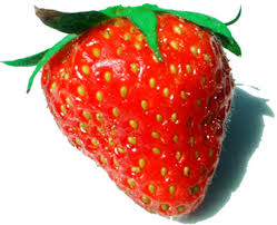 Grammatically, do you say fruit or fruits? False Fruit Definition And Synonyms Of False Fruit In The English Dictionary