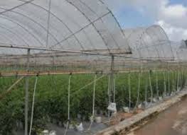 Diposting oleh teknologi pertanian di 02.05 1 komentar: Anim Agro Technology Jenis Dan Sistem Pertanian Di Malaysia
