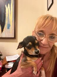 Lost Dog in Wichita, Kansas