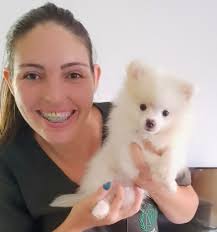 VACINAÇÃO💉DA FAMÍLIA YORK SHIRE🐶😍♥️ Pérola🐶 Yuri🐶 Felipe🐶 Bárbara🐶  Vacinados💉 V10 importada contra parvovirose, cinomose, leptospirose,  hepatite infecciosa... Dra. Larissa