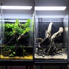 Plt (60 x 40 x 40 cm). 34 Ide Paludarium Akuarium Aquarium Air Tawar Planted Aquarium