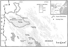 Image result for Swertia usambarensis