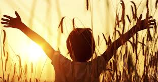 Image result for Bible to Life for Kids