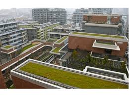 Maybe you would like to learn more about one of these? Southeast False Creek Development Olympic And Paralympic Village Greenroofs Com