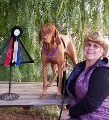 We are located in southern california, near the city of temecula, between los angeles and san diego. Fire Mountain Vizslas Southern California Vizsla Breeder Page 3