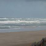 Regardez Ce Logement Incroyable Sur Airbnb Biscarrosse Plage Maisons A Louer A Biscarrosse Maison A Louer A Louer Maison