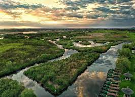 În Delta Dunării este o atmosferă magică și liniștită acum - Descopera Dobrogea