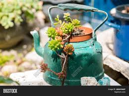 We did not find results for: Reused Planter Ideas Image Photo Free Trial Bigstock