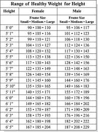 Sizes The Chart Below Shows All Edition Photo Paper And