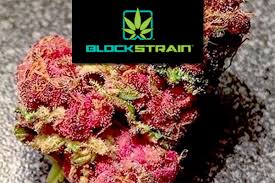 Too Many Strains Not Enough Science Meet The Botanical