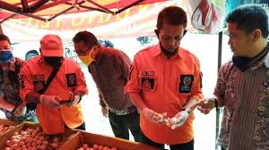 Peluang usaha ternak ayam petelur. Peredaran Telur Infertil Rugikan Peternak Ayam Petelur Tribun Jabar