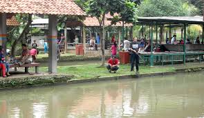 Cinangka Indah Tinggal Pilih Beragam Jenis Ikan Pancingan Ada Disini Kabar Mancing
