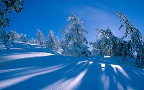 Winter mother nature scenery and vibes. Free Download Winter Wonderland Dreamy Snow Scene Wallpaper 1440x900 No26 Desktop 1440x900 For Your Desktop Mobile Tablet Explore 46 Winter Wonderland Scenes Wallpaper Free Winter Scene Wallpaper Snowy Winter