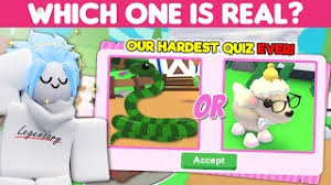 Adopt cute pets decorate your home explore the world of adopt me! Winter Holiday New Minigames And Pets In Adopt Me On Roblox