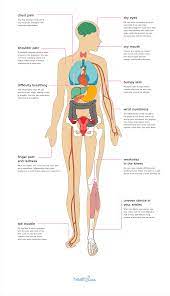 It is part of a system composed of blood and blood. Different Body Parts And Different Diseases Of Human Body Phc7fy 221s8m