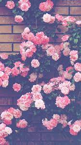 Beautiful cinematic piano background sky aesthetic vsco pictures picture perfect spots in san francisco aesthetic wallpaper cute outdoor wallpapers top free desktop wallpapers for springtime. 24 Pretty Photo Of Scrapbook Aesthetic Wallpaper Scrapbook Aesthetic Wallpaper Flowers Outside My Flower Wallpaper Flower Iphone Wallpaper Pretty Wallpapers