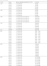 The calculated flying distance from shah alam to majenang is equal to 874 miles which is equal to 1406 km. Pdf Vegetative Compatibility Groups Within Fusarium Species Isolates From Tomato In Selangor Malaysia Semantic Scholar