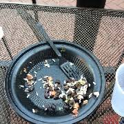 Restaurant menu, map for illegal petes located in 80302, boulder co, 1320 college ave. User Added Illegal Pete S Burrito Calories Nutrition Analysis More Fooducate
