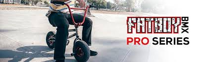 Fatboy mini bmx pro war head oil slick. Fatboy Mini Bmx Bicycle Assault Pro Neo Chrome Amazon Ca Sports Outdoors