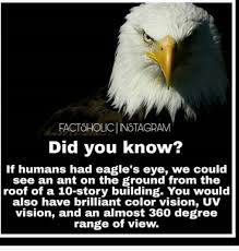 Maybe you would like to learn more about one of these? Eagle S Eyes á‹¨áŠ•áˆµáˆ­ áŠ á‹­áŠ–á‰½ Home Facebook