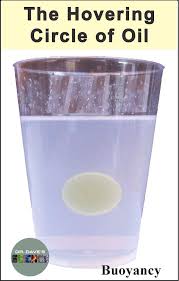 A Challenging Sink Or Float Activity Density Of Water Oil And Alcohol Hands On Density Activity Elementary Science Oils Sink Or Float