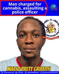 The Barbados Police Service arrested and formally charged a 32-year-old man  for cannabis related offences, as well as assaulting a police officer. He  is Mario Brett Griffith, of Cave Hill Drive, St