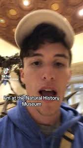 New t-rex info just dropped