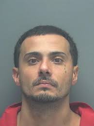 Lee County Arrests 8/30