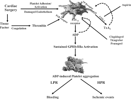 Image result for Platelet Function Closure Time