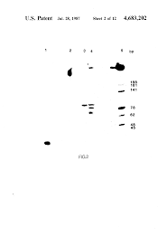 1 saison / 196 épisodes. Us4683202b1 Google Patents