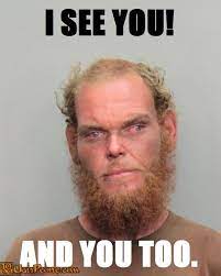 Pin On Funny Pictures