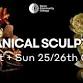 Sculptural Floral Masterclass with Immortal Soil event image