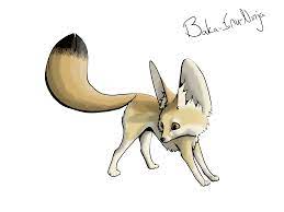 Animals For Fennec Fox Drawing Fox Drawing Fennec Fox Drawings