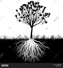 Find the perfect silhouette tree roots stock illustrations from getty images. Tree Roots Silhouette Vector Photo Free Trial Bigstock