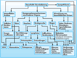 Ubersauerung Korper Ubersauert Ubersauerung Des Korpers