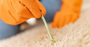 Das geht auch mit gummibärchen!!!man kann das eisspray auch für polster oder textilien verwenden, man sollte dann nur kein messer verwenden, sondern nur den. Kaugummi Entfernen Tipps Tricks Polsterando