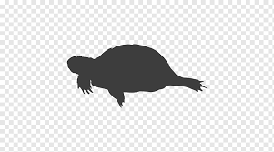 Entdecke rezepte, einrichtungsideen, stilinterpretationen und andere ideen zum ausprobieren. Kura Kura Penyu Siluet Penyu Mamalia Hewan Eps Png Pngwing