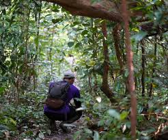 Read unique story pieces & columns written by editors and columnists at national post. A Trip To Clementi Forest Accommodate