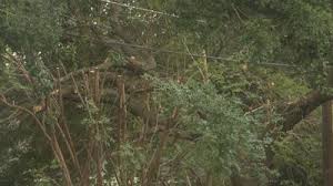 Always willing to consider and implement your suggestions, our team only leaves your. People In Broadmoor Express Concerns Over Swepco Tree Trimming Shreveport Bossier Ktbs Com